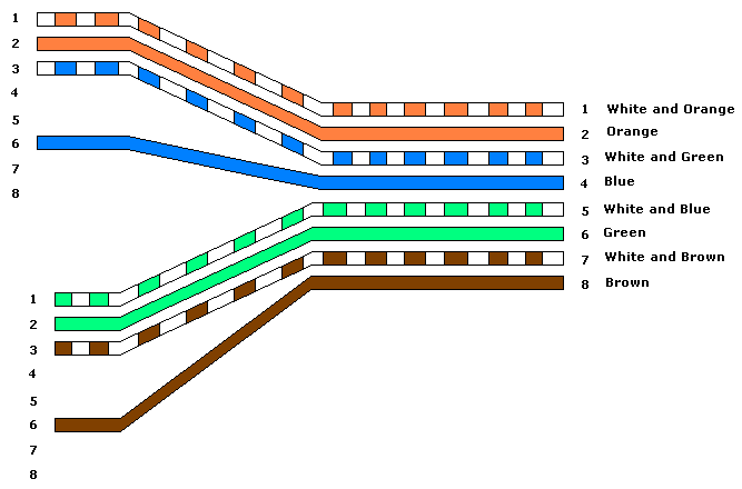 Y kabl cat5.gif