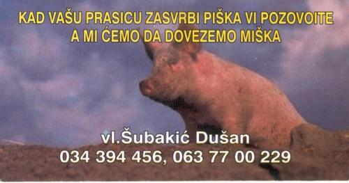 MIŠKO copy.jpg